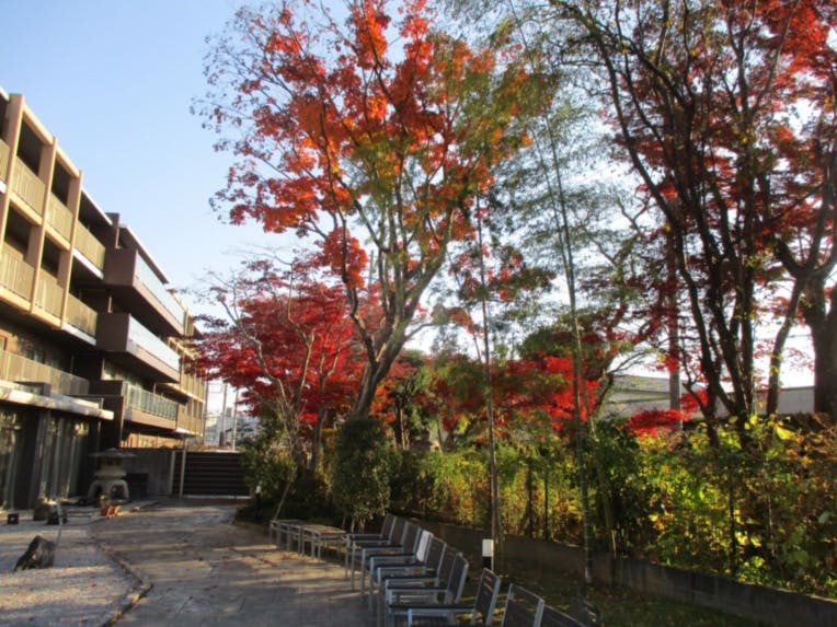 SOMPOケア ラヴィーレ入間 庭園