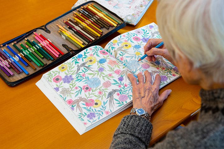 ヒルデモア三渓園 塗り絵