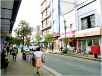 せらび有栖川 広尾散歩通り