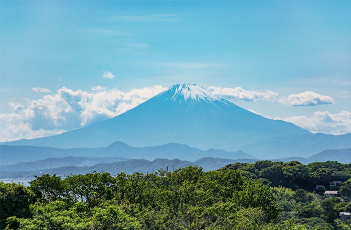 チャームプレミア鎌倉山 鎌倉広町緑地
