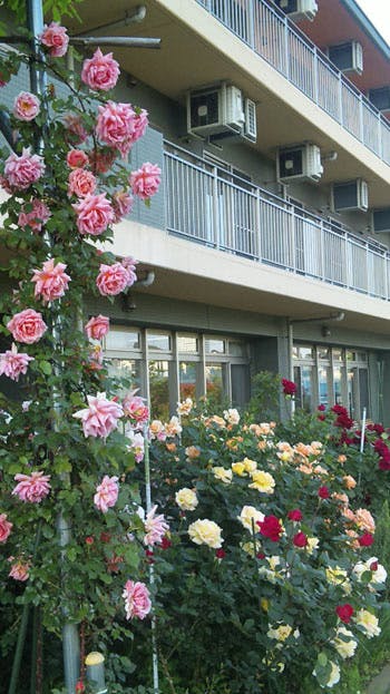 ベストライフ東村山Ⅱ バラ園