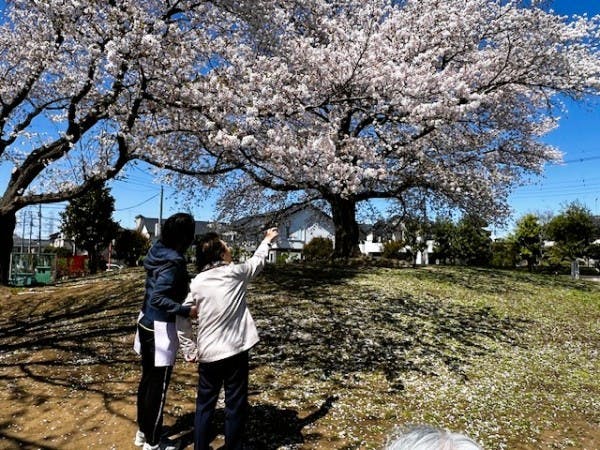グループホームみんなの家・桶川 お花見