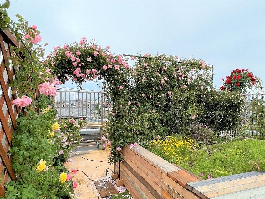 グランフォレスト氷川台 屋上庭園