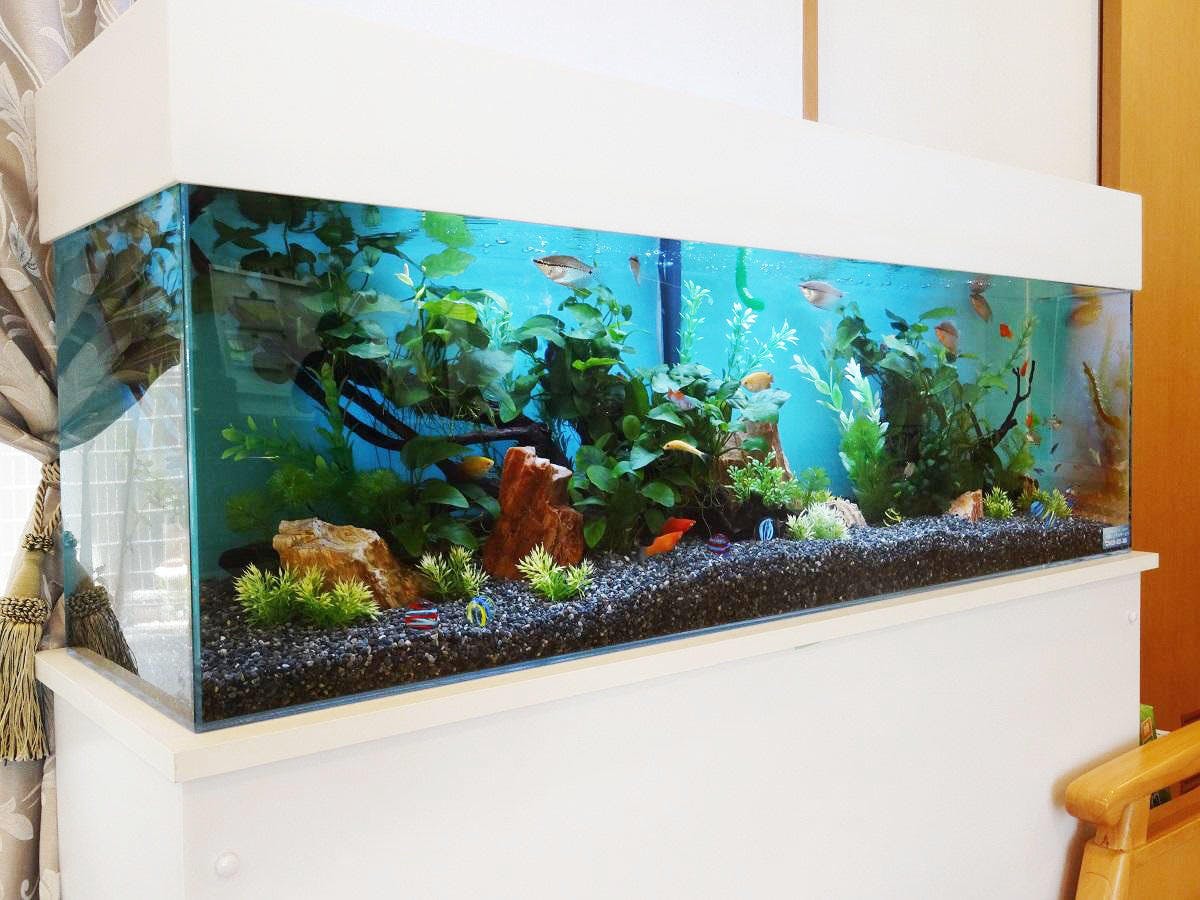 エスペランサ川崎 アクアリウム