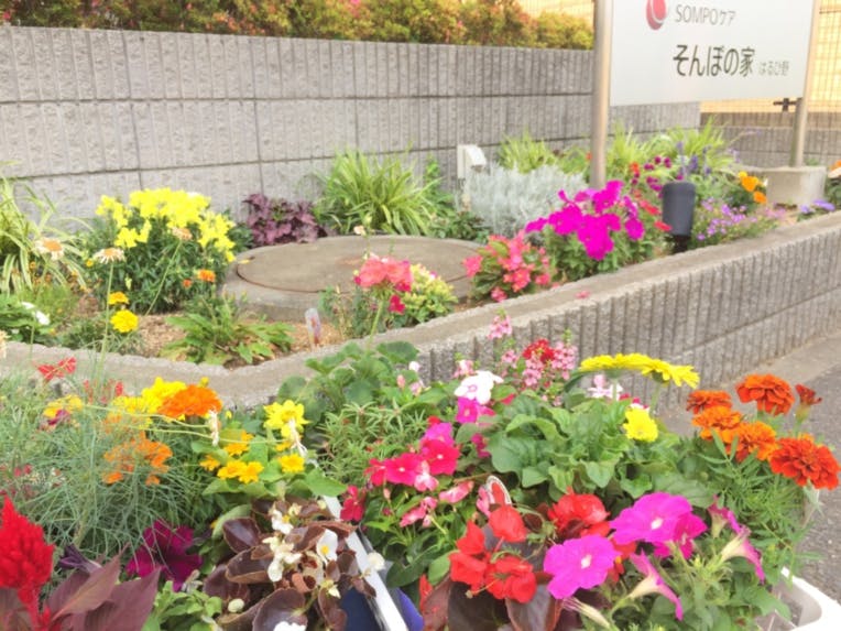 そんぽの家 はるひ野 花