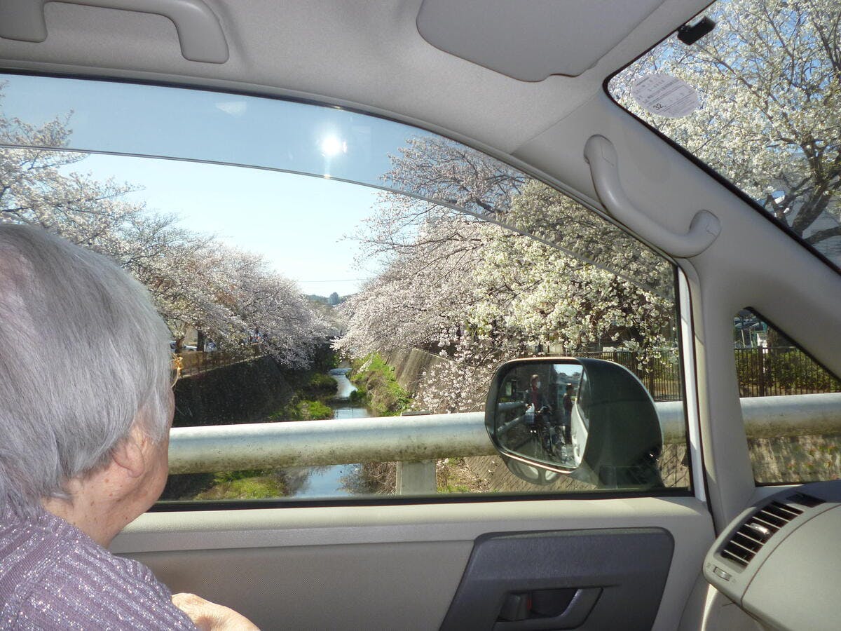 はなことば町田鶴川 お花見