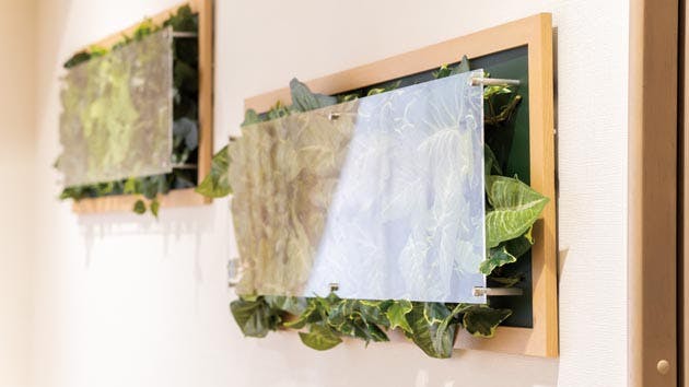 ライフコミューン登戸 作品展示