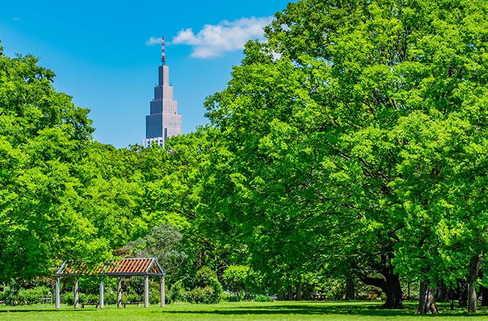 チャームプレミア代々木初台 代々木公園
