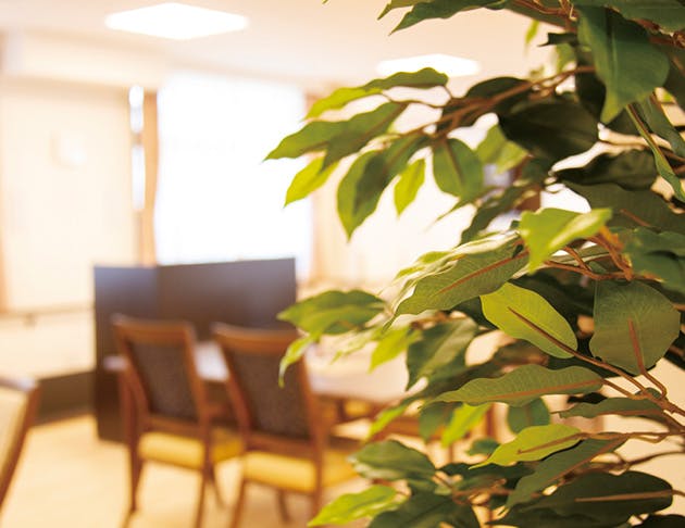 ライフコミューン上大岡 観葉植物