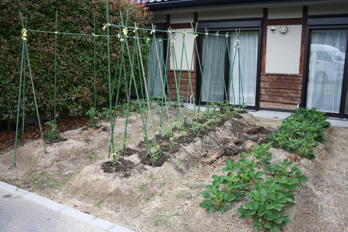 グループホームひだまり 家庭庭園