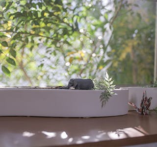ナーシングホームまごころ荘石津 インテリア