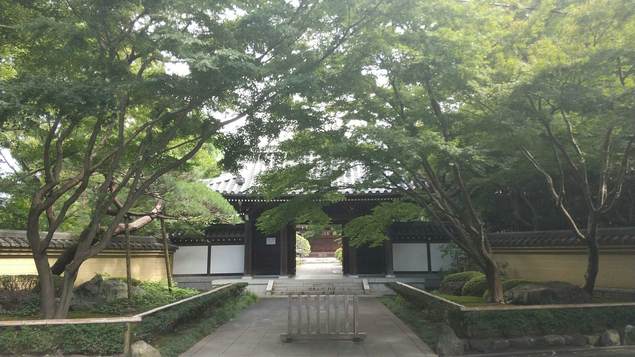 ローベル西荻窪 観泉寺