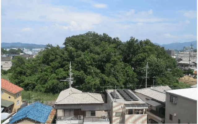 フィレンツェライフ青山 青山古墳
