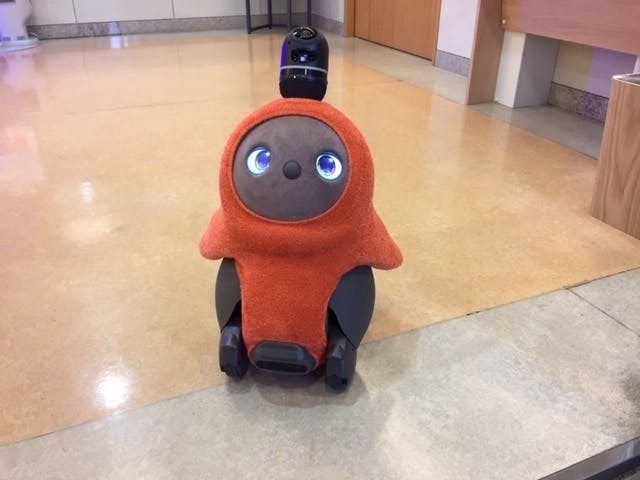 そんぽの家S日吉西 LOVOT