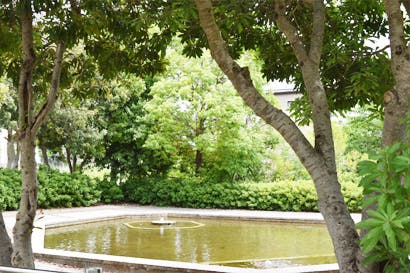 レガロアコンフォート川西けやき坂 けやき坂中央公園