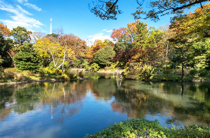 チャームプレミアグラン南麻布 有栖川宮記念公園