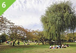 グッドタイムナーシングホーム・三郷駅前 早稲田公園