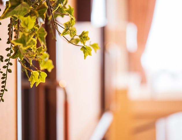 リアンレーヴ鷺ノ宮 廊下