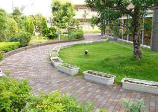 ソレイユひばりが丘 遊歩道