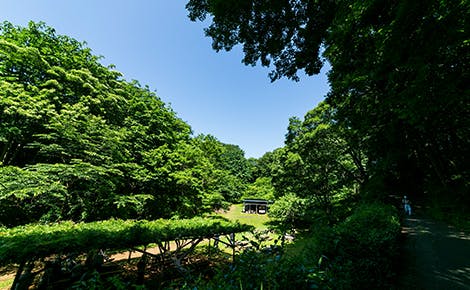 クレールレジデンス横浜十日市場シニアフロア 新治市民の森