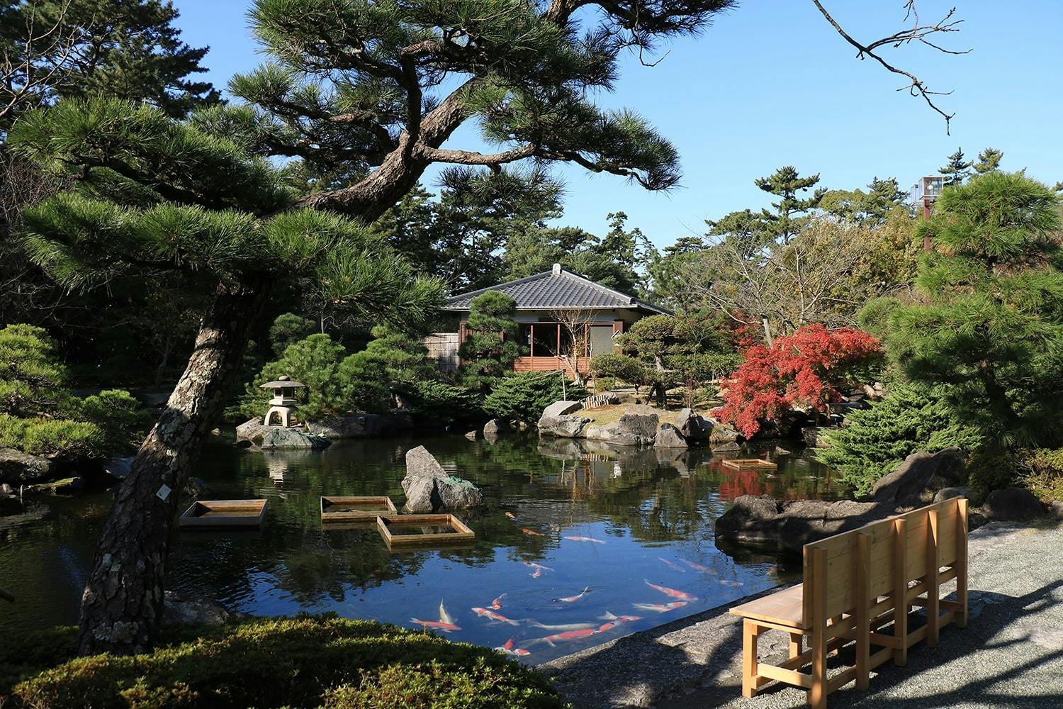 交欒 葉山一色 葉山しおさい公園