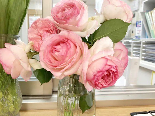 介護付有料老人ホームみんなの家・南中丸 季節の花