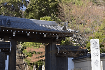 もみの樹・横浜鶴見 建功寺（けんこうじ）