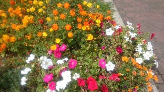 ニチイケアセンターもみじ台 ガーデン