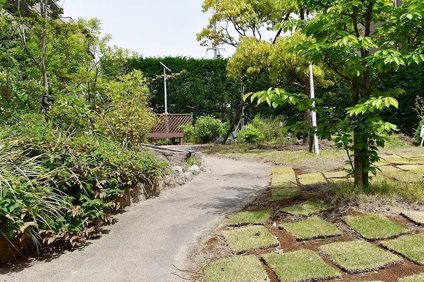 グランダ甲南山手 1F 庭