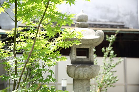 エイジフリーハウス大阪帝塚山 庭