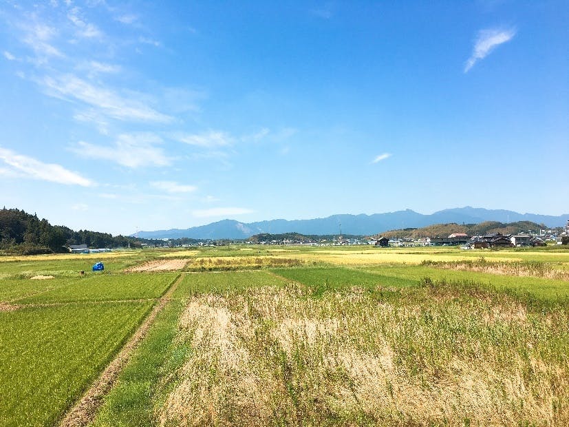 サービス付き高齢者向け住宅まめ蔵 風景