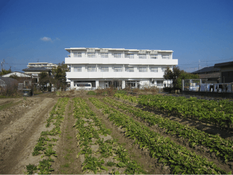 ライフェール 農園