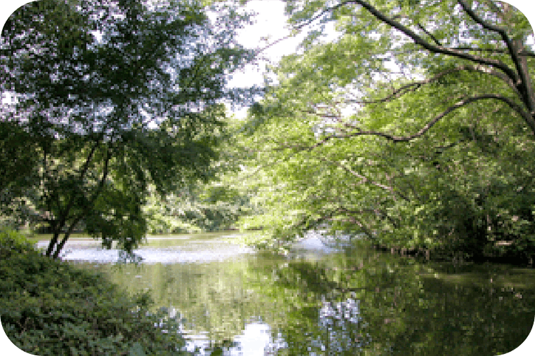 アライブ浜田山 和田堀公園