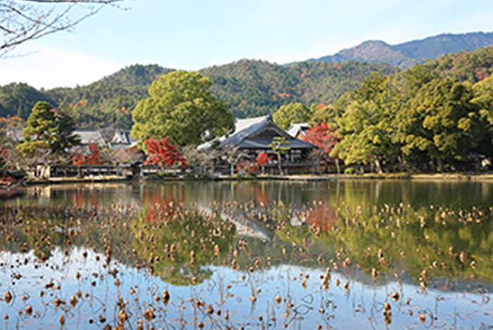 グッドタイム リビング 嵯峨広沢 大覚寺・大沢池