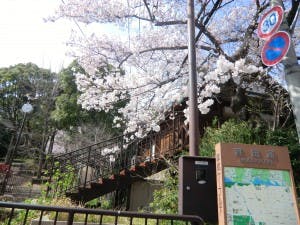翠光ドール 外出イベント