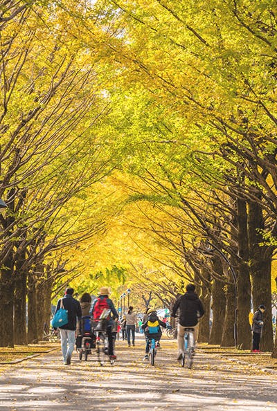 クラーチ・ファミリア光が丘公園 光が丘公園