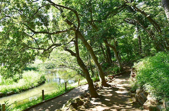 チャームプレミア田園調布 宝来公園