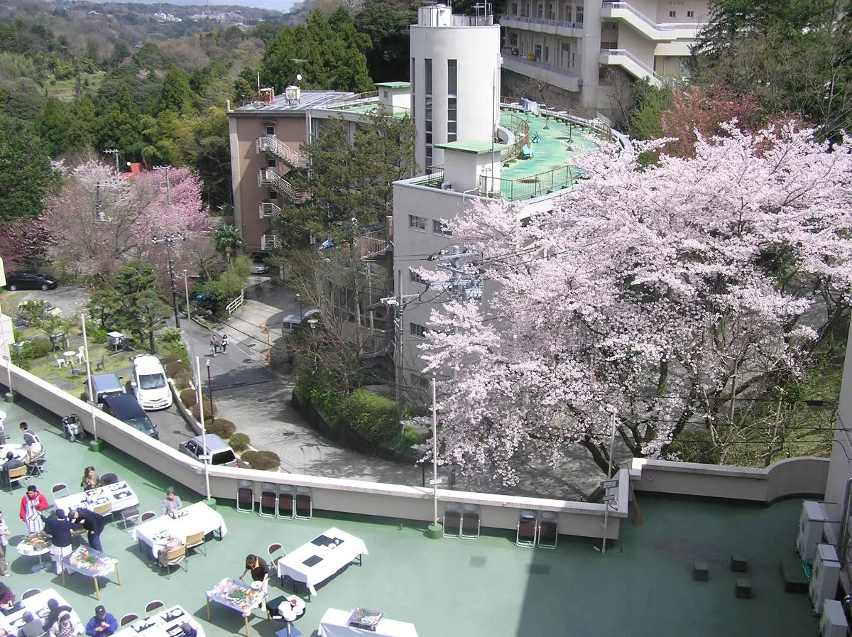 長寿園 お花見