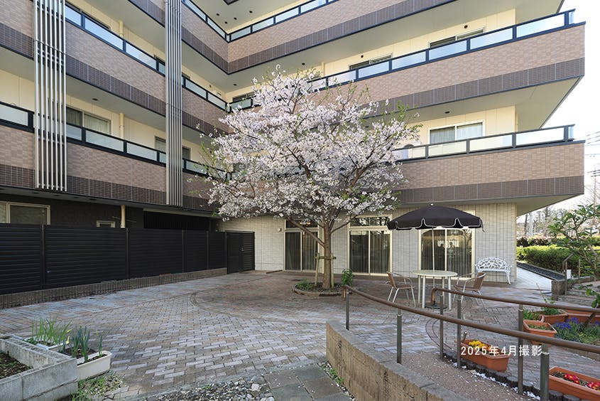 グランダ大山弐番館 回遊庭園/桜
