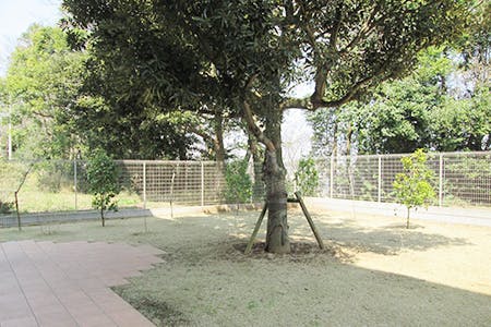 アビーサあらき野 中庭