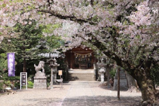 ドーミー岩槻LeviⅠ 越谷の総鎮守 久伊豆神社