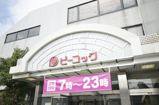グランドマスト中野若宮 ピーコックストア都立家政店