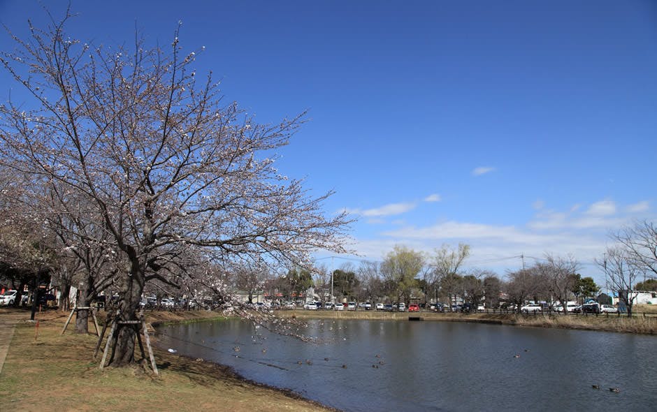 あずみ苑グランデ土浦 乙戸沼公園