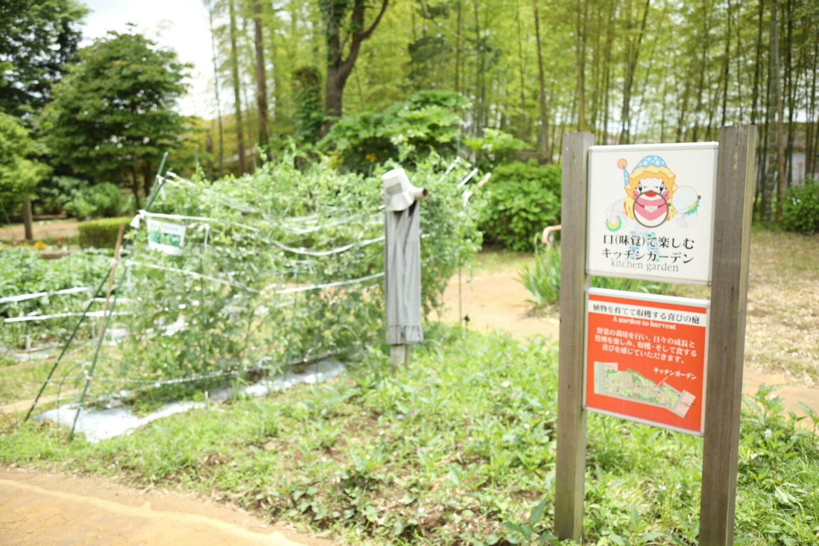 ミライアコート宮の杜 ガーデン