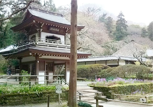 マストクレリアン鎌倉 浄智寺