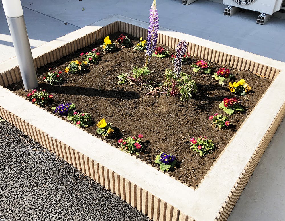 愛の家グループホーム茅ヶ崎平和町 花壇