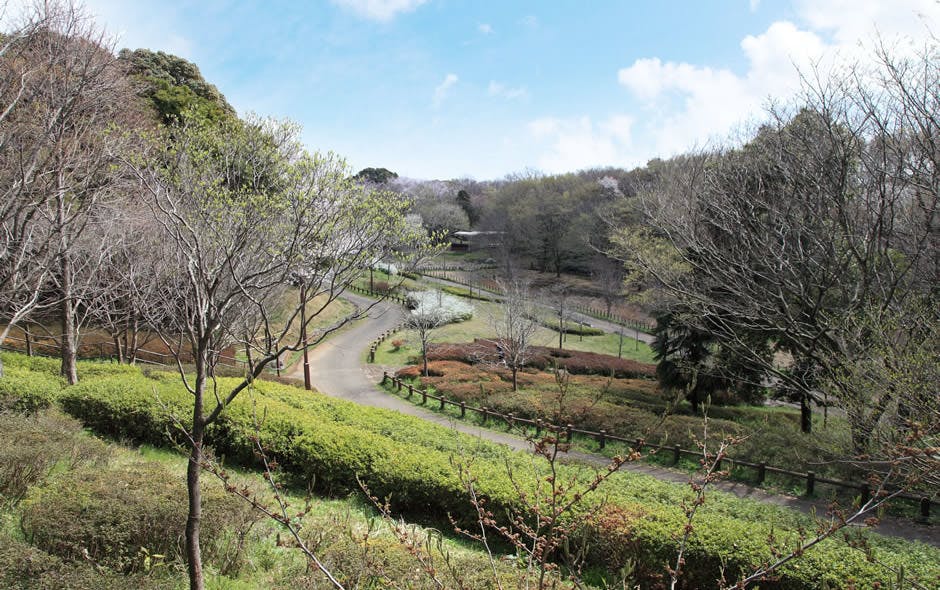 あずみ苑ラ・テラス葛城 千葉県立青葉の森公園