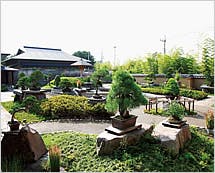 ハーウィル大宮土呂 別館 大宮盆栽村