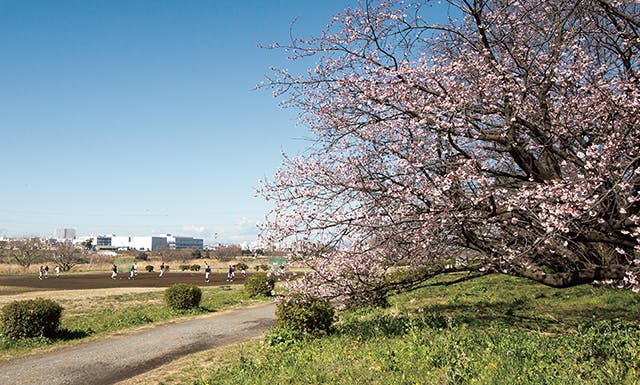 グランジュール尾山台 多摩川
