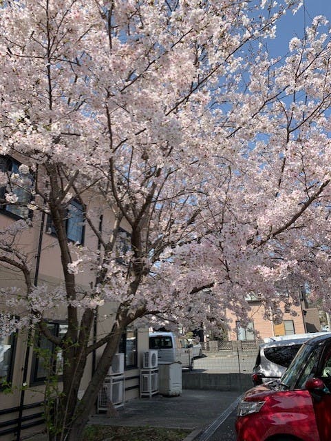 ニチイケアセンター広島海田 桜